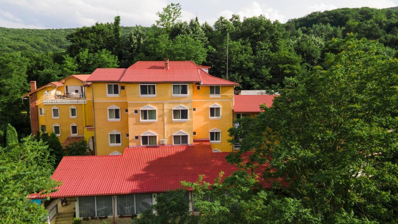 Aida Hotel Spa & Tratament Geoagiu Băi 外观 照片